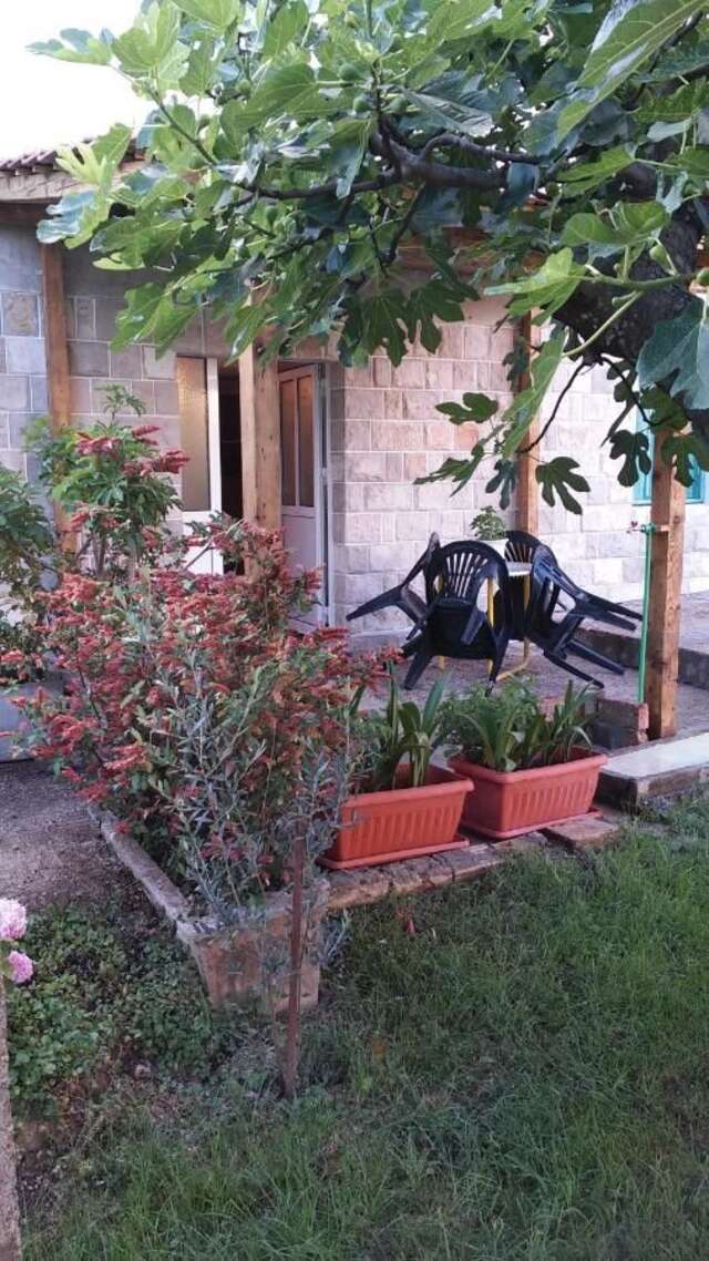 Апартаменты Petkovic Apartmani 2 Тиват-7